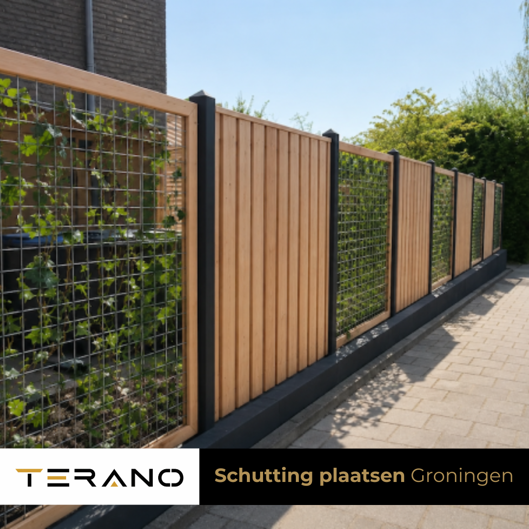 Terano groningen (2)